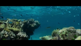 Our Universe - Season 01 Episode 04